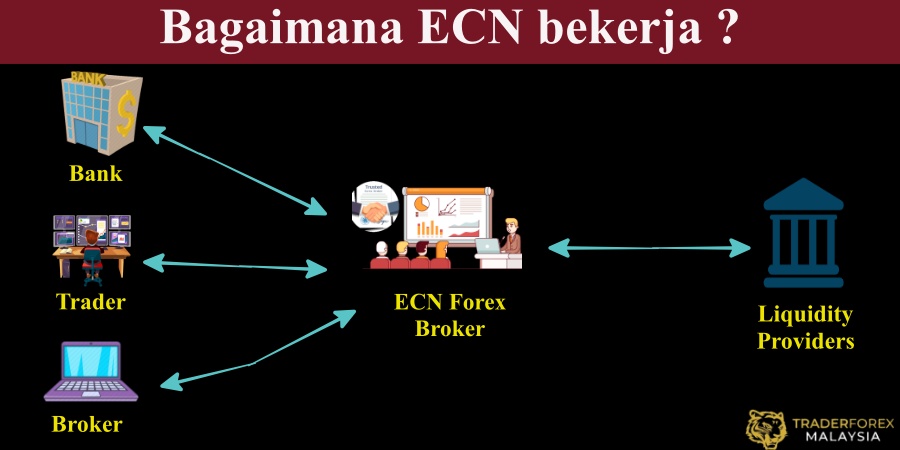Apa Itu ECN ? Trader Forex Malaysia